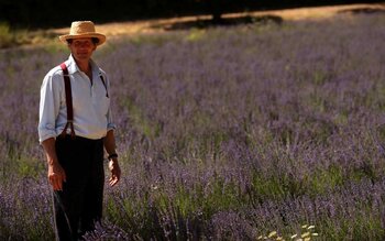 Su DoveTv arriva "Grandi giardini di Francia" con Monty Don | Digitale terrestre: Dtti.it