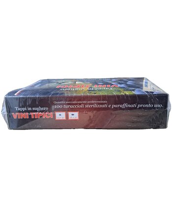 SUNGIFT – 9 Piastrelle In Sughero 30,5x30,5 Cm + 100 Puntine – Bacheca Fai-da-te Autoadesiva