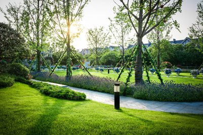 Well-maintained landscaped walkway with trimmed lawn, pruned trees, and flower beds at sunrise.