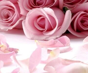aroma-natural-de-rosas.jpg