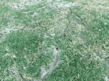 Vole Runways