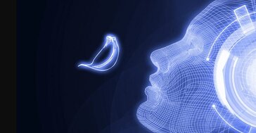 Google met au point une intelligence artificielle capable de détecter les odeurs