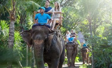bali zoo elephant ride