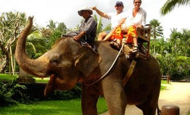Best Elephant ride in bali