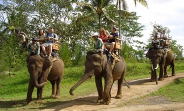 bali elephant riding