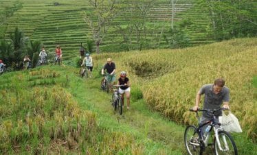 bali cycling tour