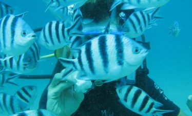 bali scuba