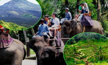 bali-elephan-ride