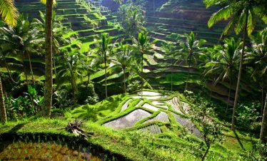 ubud waterfall tour
