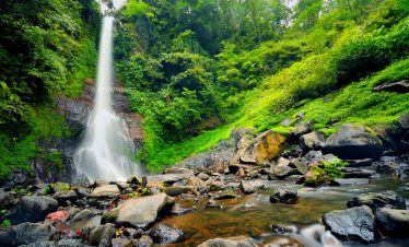 Gitgit_Waterfall_by_Top Bali trip