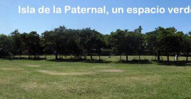 Isla de la Paternal