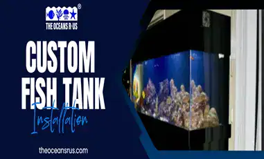 Large built-in saltwater aquarium in a modern residential space