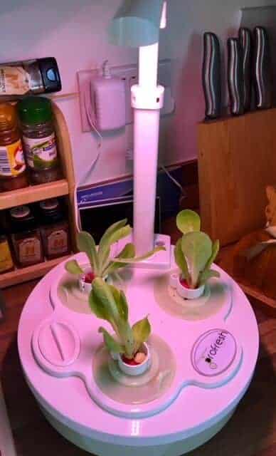 grofresh kitchen garden