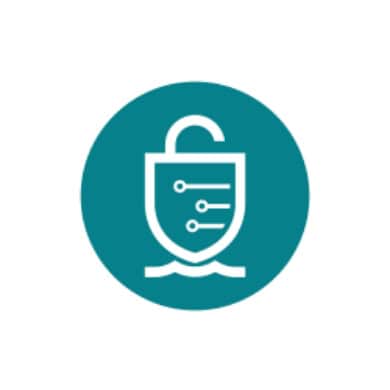 Cyber Security at Sea