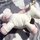 Product Review: Unicorn Soft Plush Toys for Newborns from GUND