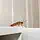 3 Annoying Household Pests And How To Repel Them