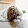 Doggy Drip: Understanding and Managing Runny Noses in Dogs