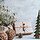 A Guide For Minimalist Christmas Traditions