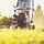 Keep Your Grass Greener: Essential Summer Lawn Care Tips