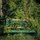 How a Landscaper Can Transform a Neglected Garden in One Season