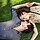 How Couples Can Build Emotional Intimacy Through Simple Wellness Rituals