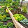 5 Tips to Plan a Budget-Friendly Project With Trusted Landscaping Professionals