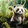 キャラクターの使用料率🐼　ライセンス料の相場ってどのくらい？ キャラクター関連 vol.1