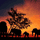 商標登録insideNews: EUIPO launch of AfrIPI aims to shake up trademark registration in Africa | Inventa International