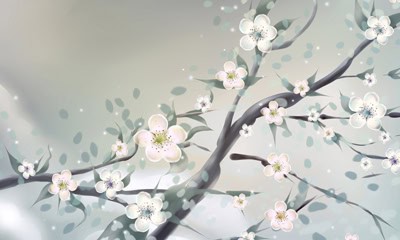 Introduction to Neijing Medicine