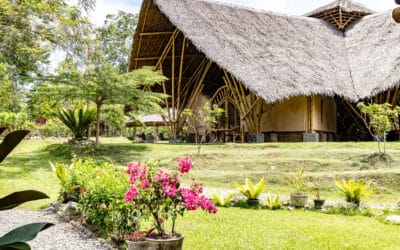 Umwelt- und Tierschutz in Sumatra mit Project Wings