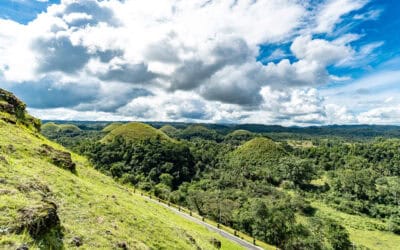 Bohol: Chocolate Hills, Tarsiere, der Man-Made Forest & Loboc River