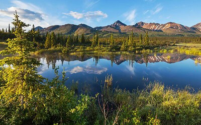 Not Sure If He Likes You?