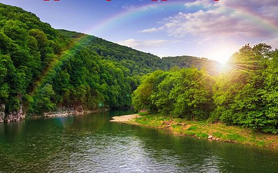 Disappearing Reappearing Love