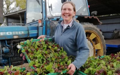 Sarah Green – What its like as a Organic Farmer in 2024