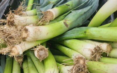 Why We Prioritise UK Produce in an Unstable Global Food System