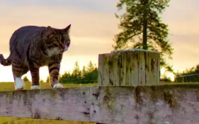 Learning to Love Winter’s Bounty