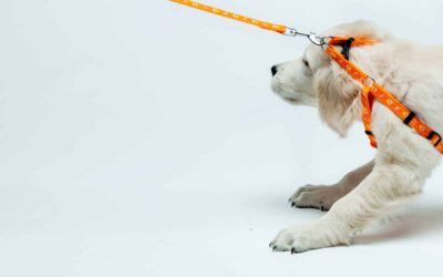 Czego ludzie obawiają się w terapii grupowej dla uzależnionych, współuzależnionych i DDA?