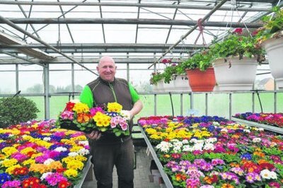 Märkischer Bote Frühlingsleuchten auf dem Friedhof