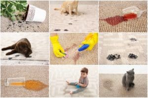 Carpet Cleaning Burton on Trent