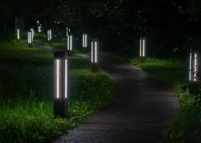 Pathway