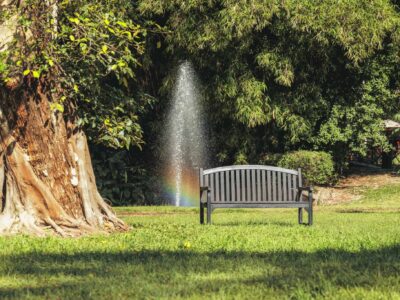 GardenBenchSunnyDay