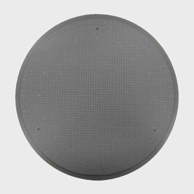 Dry Electrostatic Chucks