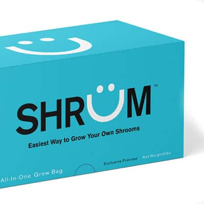 An Advanced Mycology Shrüm - All-In-One Mushroom Grow Bag.