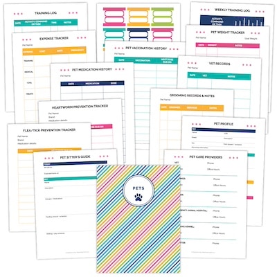 bright rainbow color scheme printable planner pages