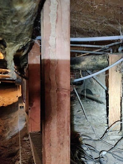 termite mud tubes on walls - barrier pest control