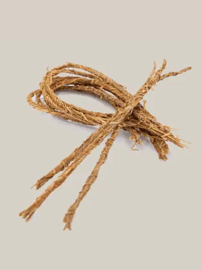 5 Tiges de Vétiver – L’Élixir Naturel du Bien-Être