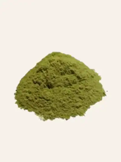 Poudre de Moringa Bio — Superaliment Africain