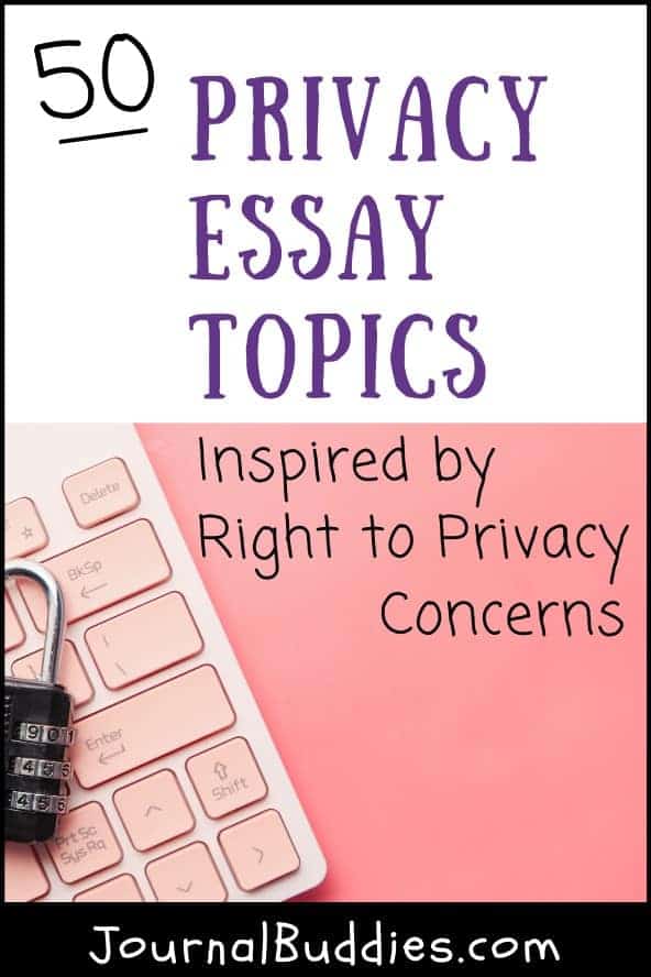 argumentative essay are law enforcement cameras an invasion of privacy