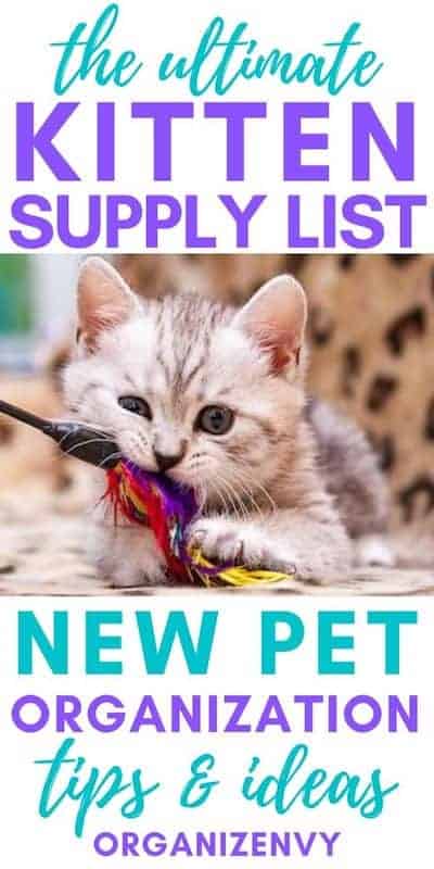 Kitten supply list