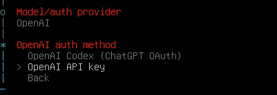 ダークテイストのインターフェースには、OpenClaw統合、OpenAI Codex (ChatGPT OAuth)、OpenAI APIキーなど、OpenAIの認証オプションが表示されます。.
